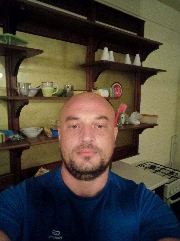  24155766  , 43 ,    