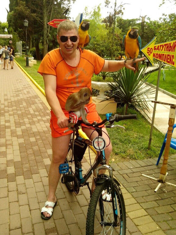 ���������� �����, ���� ������� Apollon, 41 ���, ������������ ��� ������, ����� � ���������, c�������� ���������, ���������