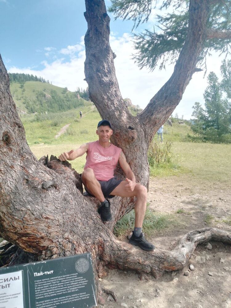 ���� 55399116 ������� �������, 38 ���, ���� ���������� � �������