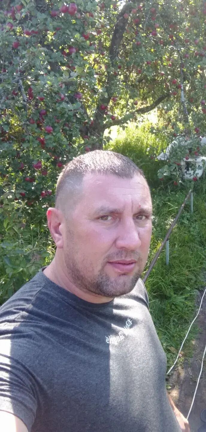 ���������� ���������, ���� ������� �������, 38 ���, ������������ ��� c�������� ���������