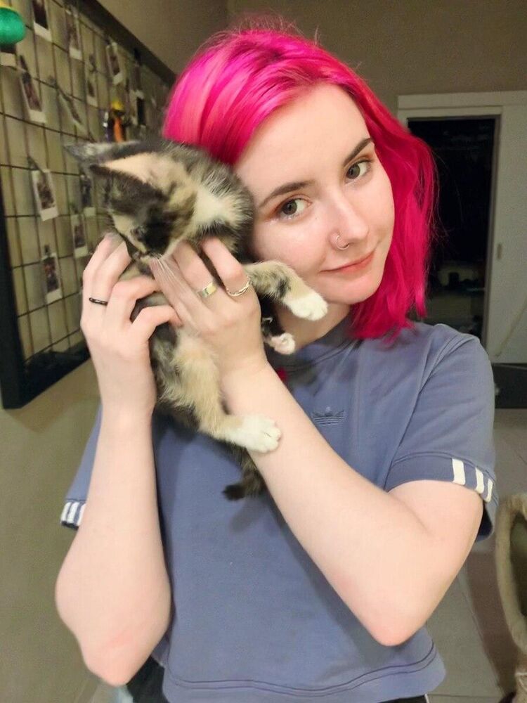 ���������� ������, ���� ������� ����, 28 ���, ������������ ��� ����� � ���������, c�������� ���������