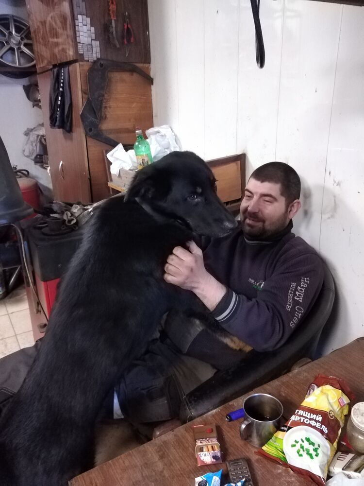 ���� 27630086 ������� ����, 44 ����, ���� ���������� � ������