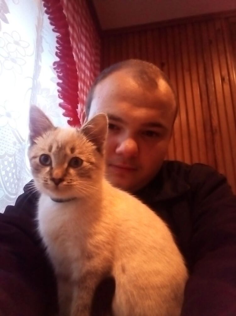  46134336  Inv_estor, 19 ,    