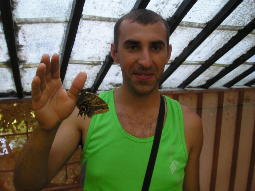  ,   , 41 ,   