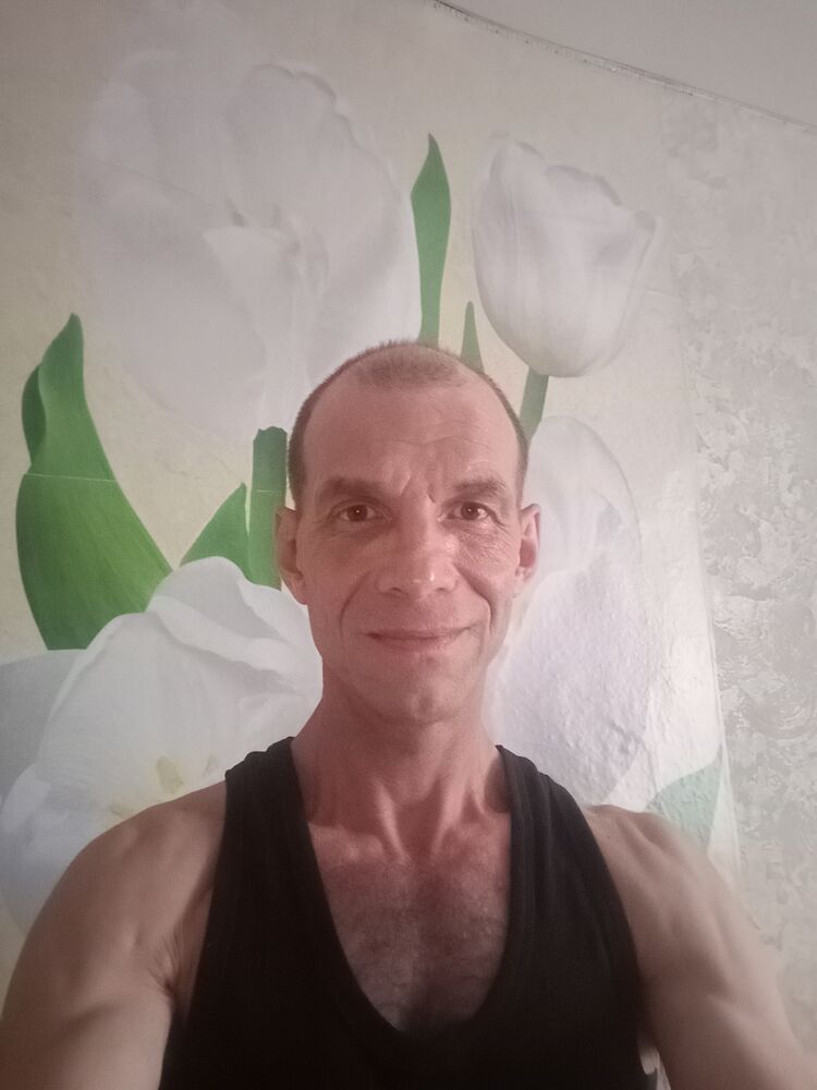  50009146  , 50 ,    