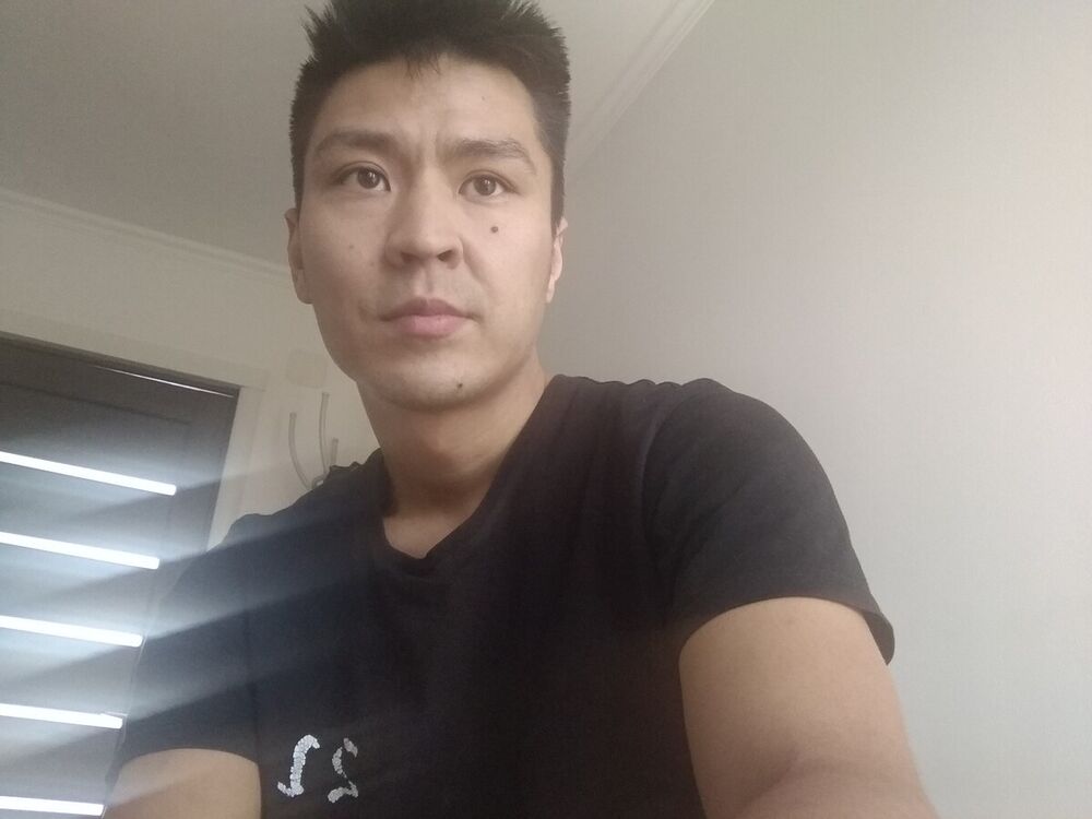 ���� 20966256 ������� Teddy, 33 ����, ���� ���������� � �������