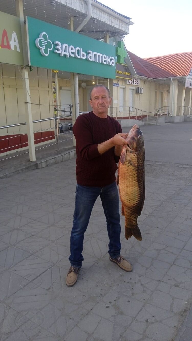 ���� 56189226 ������� ����, 51 ���, ���� ���������� � ��������