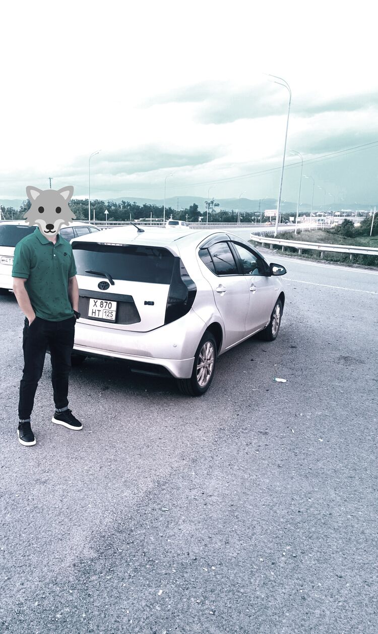 ���� 43991186 ����� �����, 24 ����, ���� ���������� � ������������