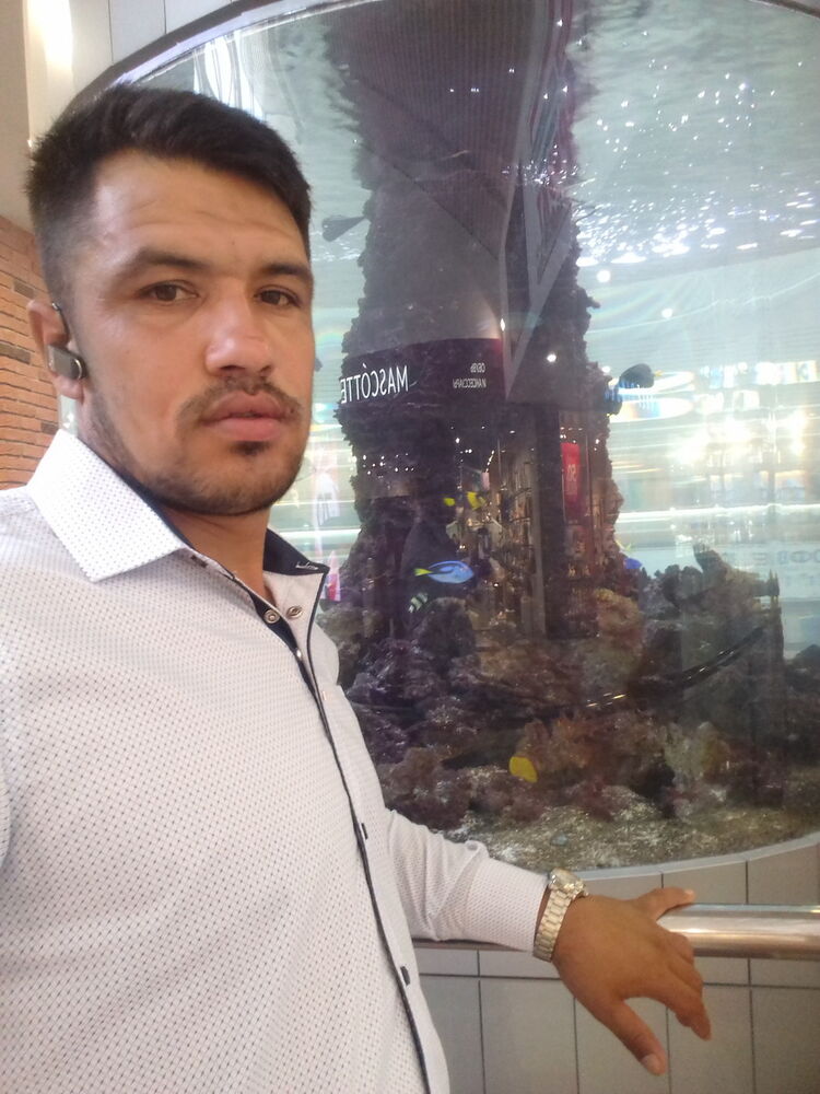 ���������� �����, ���� ������� �����, 40 ���, ������������ ��� ������, ���������