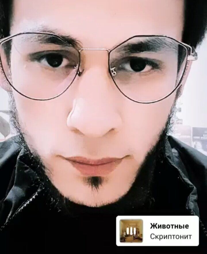 ���������� ���������, ���� ����� ����, 24 ����, ������������ ��� ������, ����� � ���������