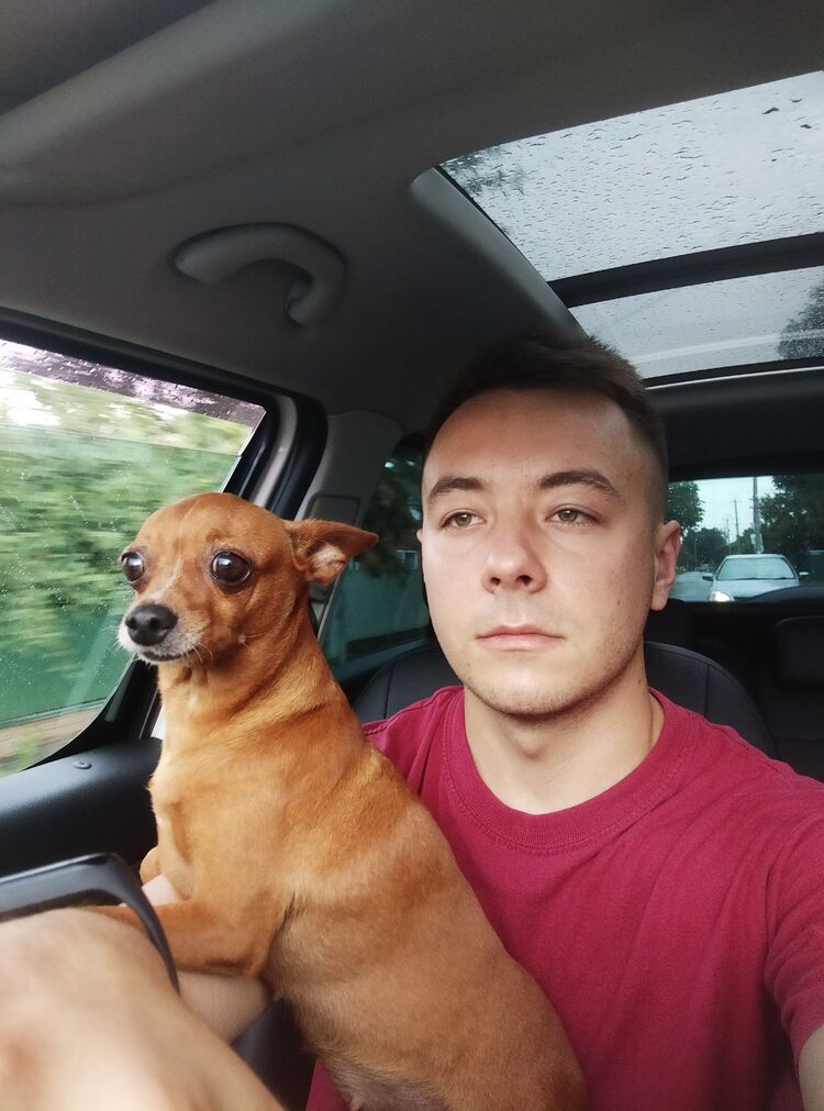 ���� 47249856 ������� ��������, 28 ���, ���� ���������� � ����������