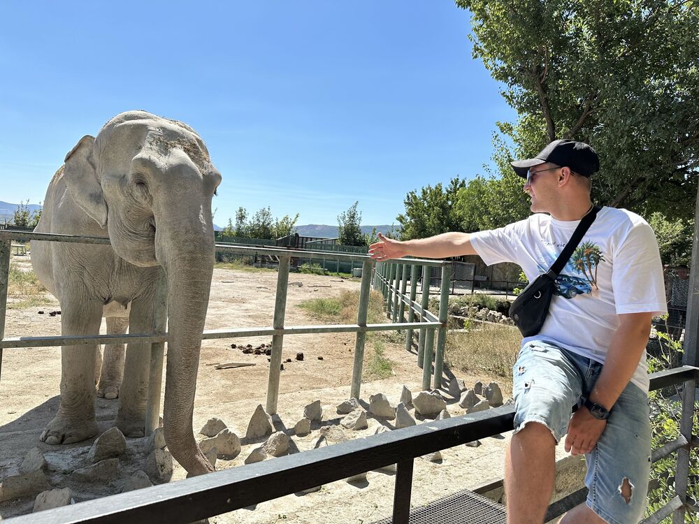 ���������� ������, ���� ������� �������, 35 ���, ������������ ��� ������, ����� � ���������, c�������� ���������, ���������