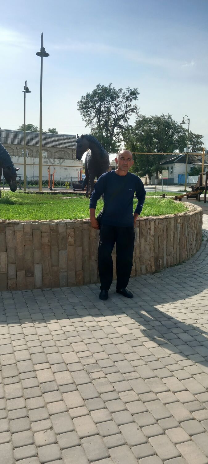  43079986  , 49 ,    