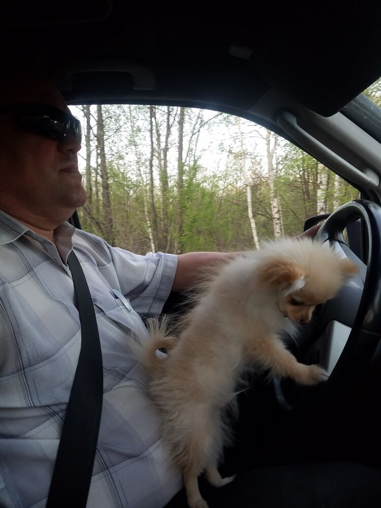 ���� 13799806 ������� ������, 52 ����, ���� ���������� � ������ ���������