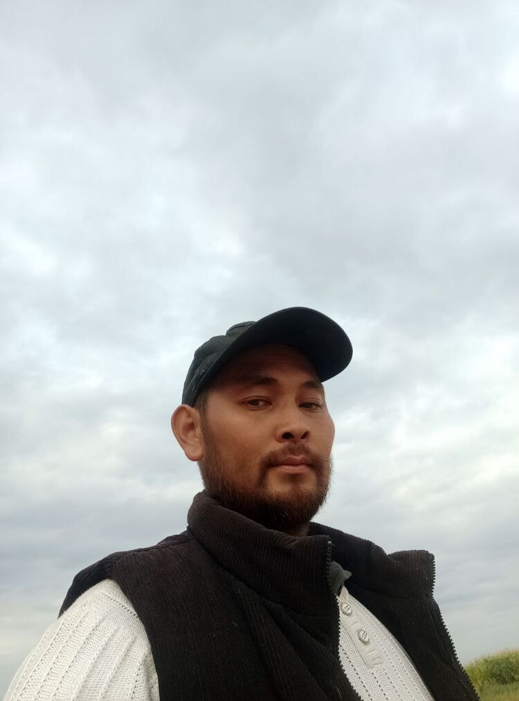  52908826  , 32 ,    