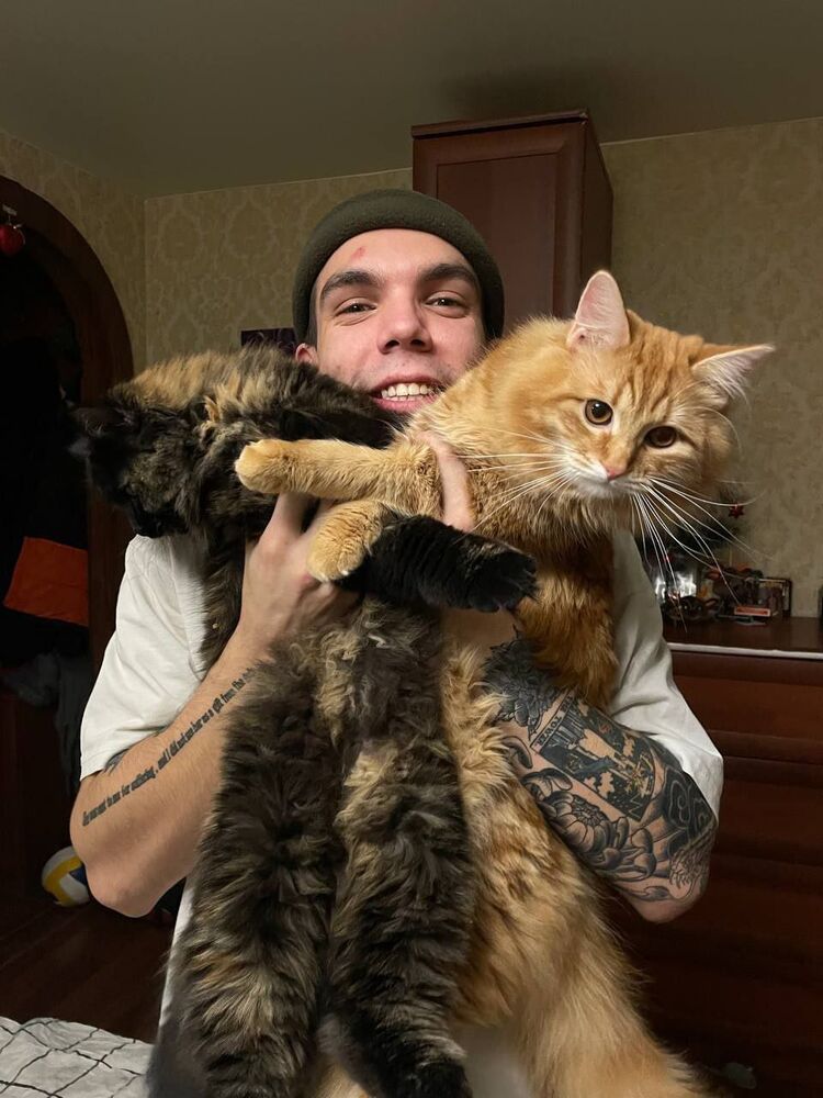 ���� 55628156 ����� ����������, 22 ����, ���� ���������� � �����-����������