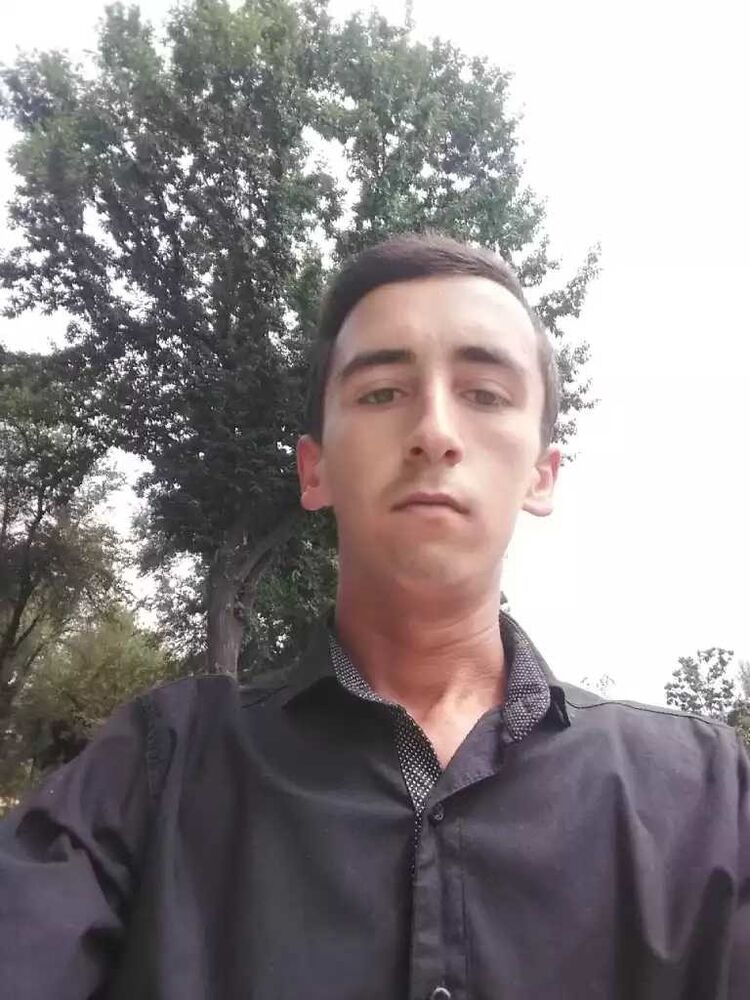  17173316  , 28 ,    