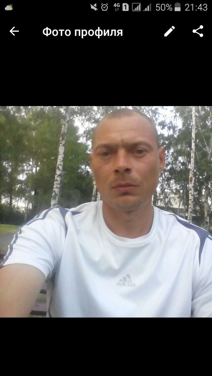  -,   , 41 ,   c , 