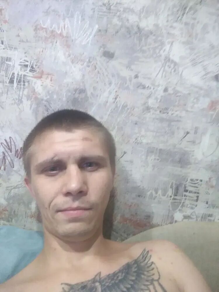  53328936  , 31 ,    