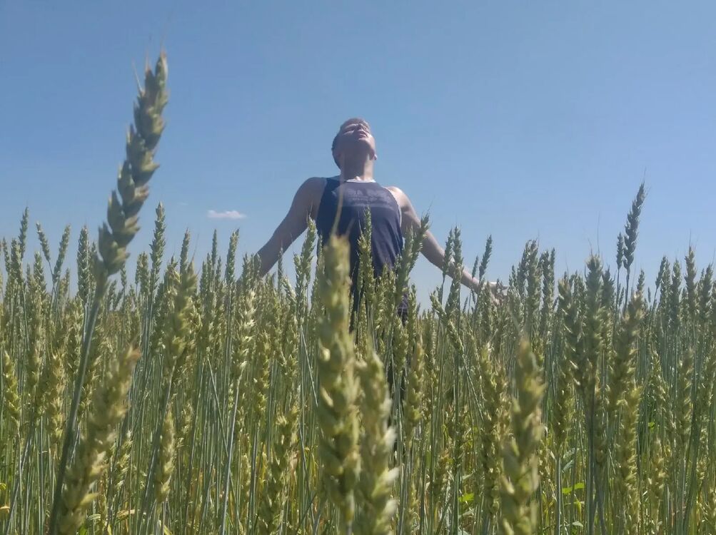  ,   Nikita, 26 ,   ,   