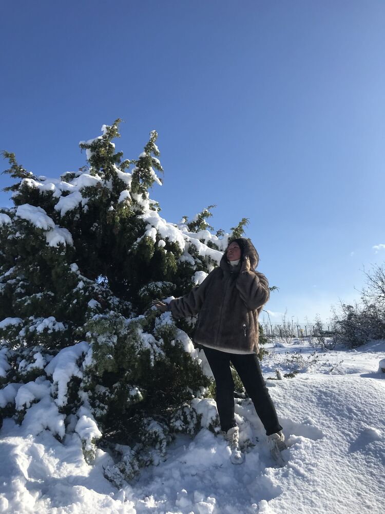 ���������� �����������, ���� ������� ��������, 45 ���, ������������ ��� ����� � ���������, c�������� ���������