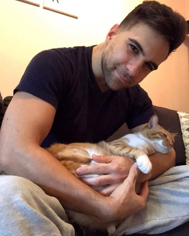 ���� 51729426 ������� ����, 40 ���, ���� ���������� � ��������