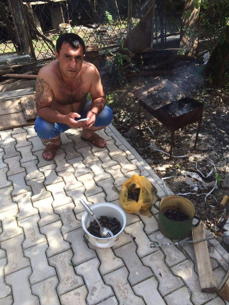  ,   , 46 ,  