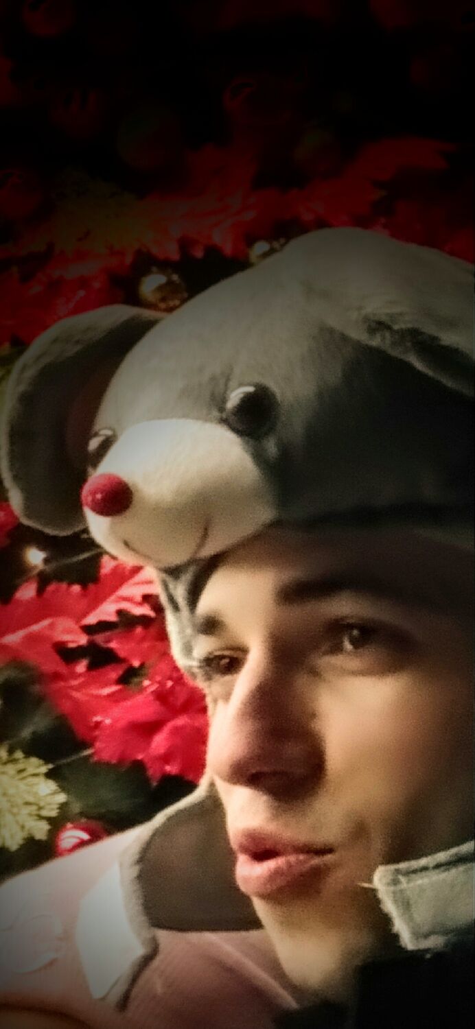 ���� 24366166 ������� ������, 29 ���, ���� ���������� � ���������������