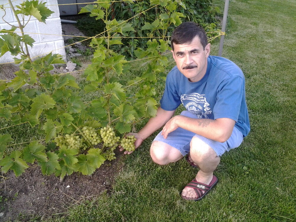 ���������� ������, ���� ������� �����, 61 ���, ������������ ��� ������