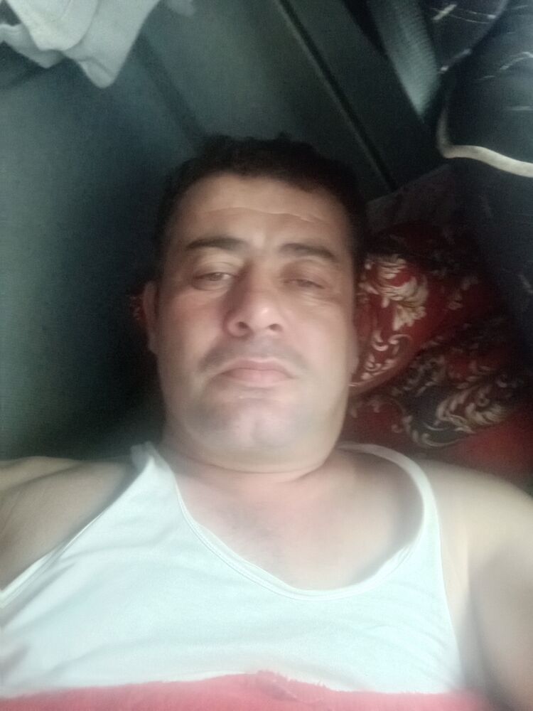  43590866  , 42 ,    