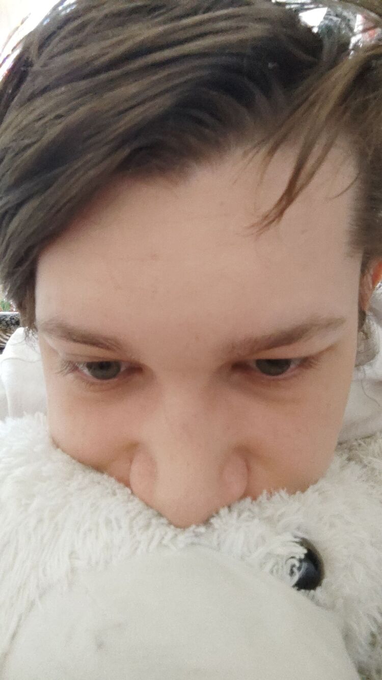 ���������� ���������, ���� ����� ����, 23 ����, ������������ ��� ������, ����� � ���������