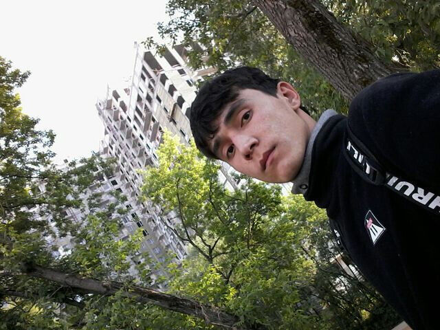  -,    , 42 ,   ,   