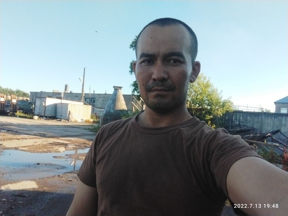  28367246  , 33 ,    