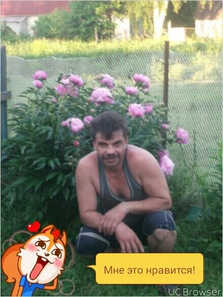  ,   , 54 ,   ,   , c 