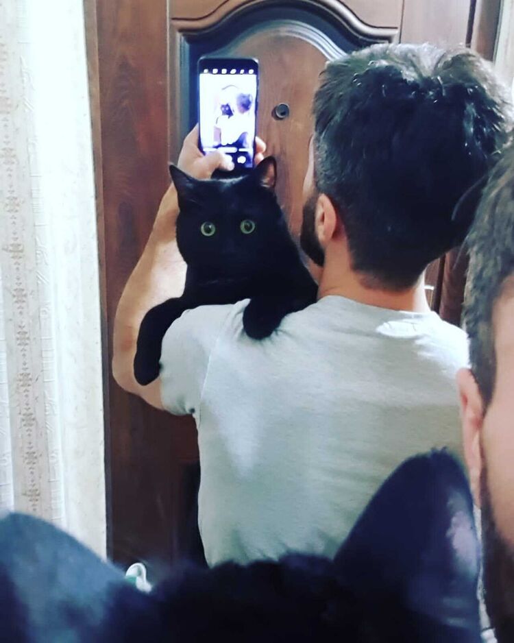 ���������� ��������, ���� ������� ����, 35 ���, ������������ ��� ������, ����� � ���������, c�������� ���������