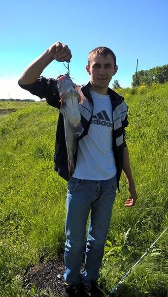 ���� 6667286 ������� ����, 34 ����, ���� ���������� � ����������