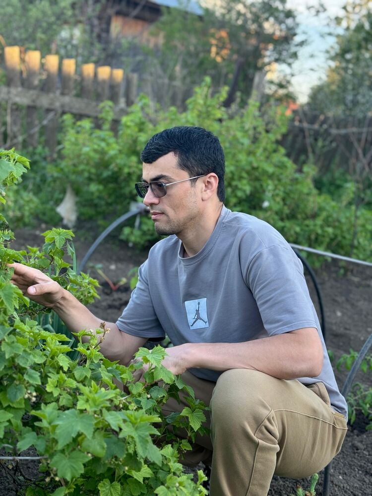 ���� 55786886 ������� �����, 31 ���, ���� ���������� � �������������