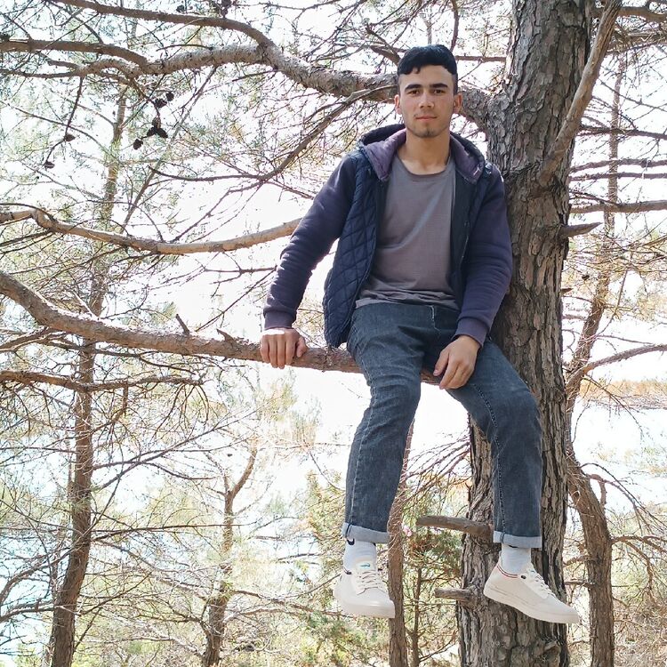  -,   , 22 ,   ,   