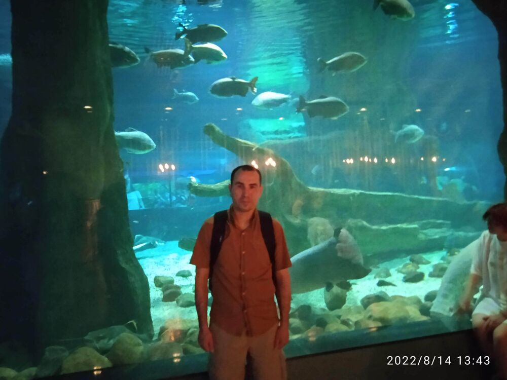 ���������� ������, ���� ������� ��������, 39 ���, ������������ ��� ������, ����� � ���������