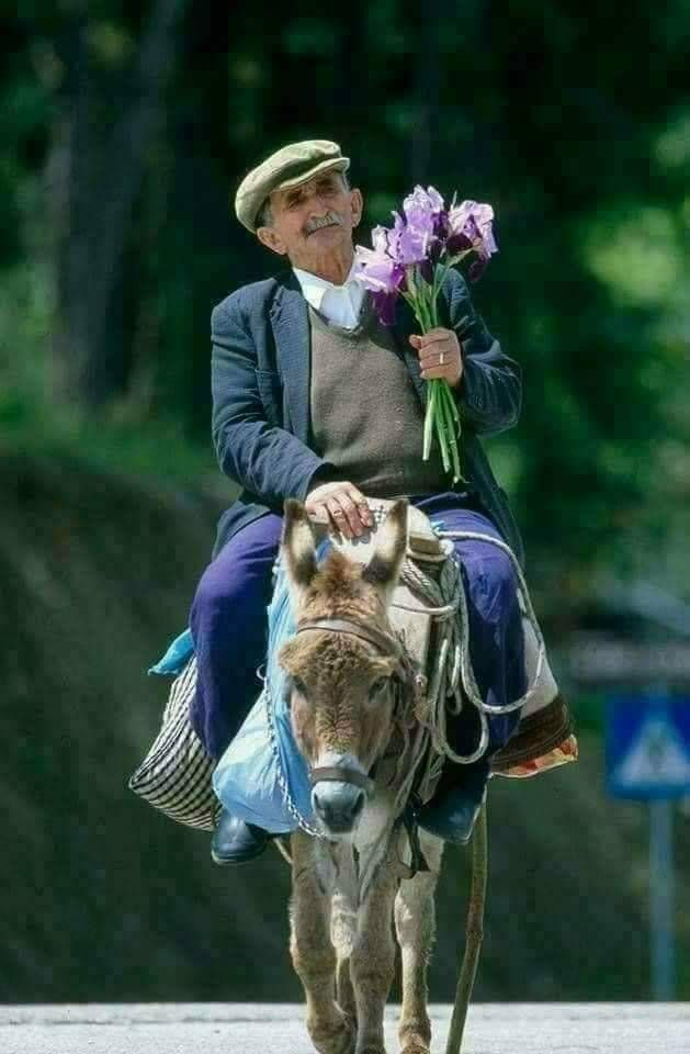 ���������� ������, ���� ������� ������, 41 ���, ������������ ��� ������, ����� � ���������, c�������� ���������, ���������