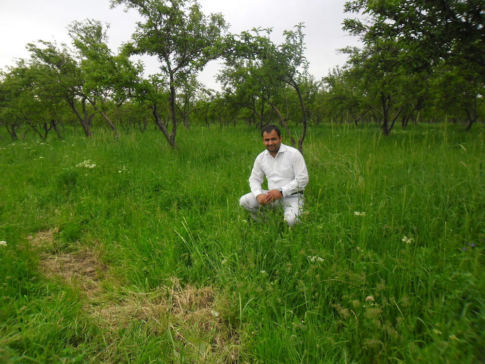 ���������� �������, ���� ������� ������, 40 ���, ������������ ��� ������