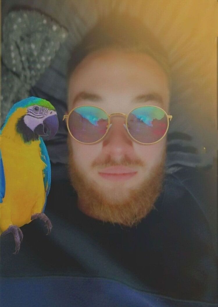 ���������� ���������, ���� ������� �������, 33 ����, ������������ ��� ������, ����� � ���������, c�������� ���������, ���������