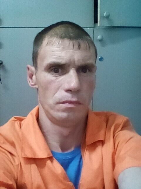  50455006  , 40 ,    