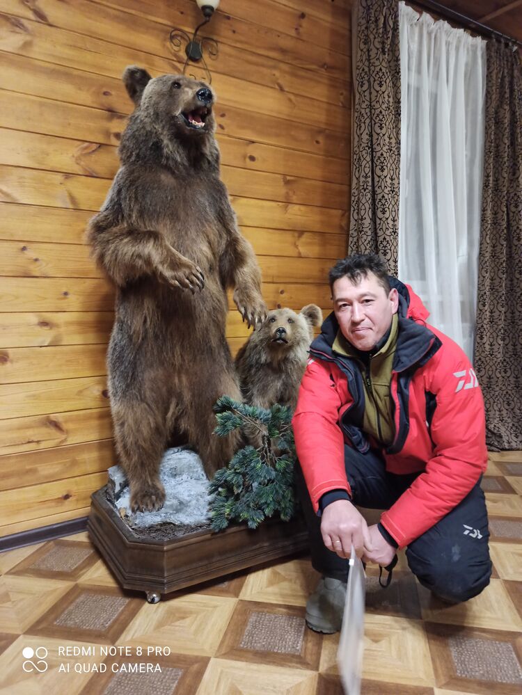 ���� 56268626 ������� ������, 48 ���, ���� ���������� � ���������