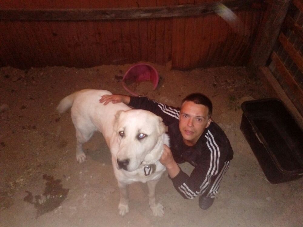  ,   Alex, 37 ,   ,   , c 