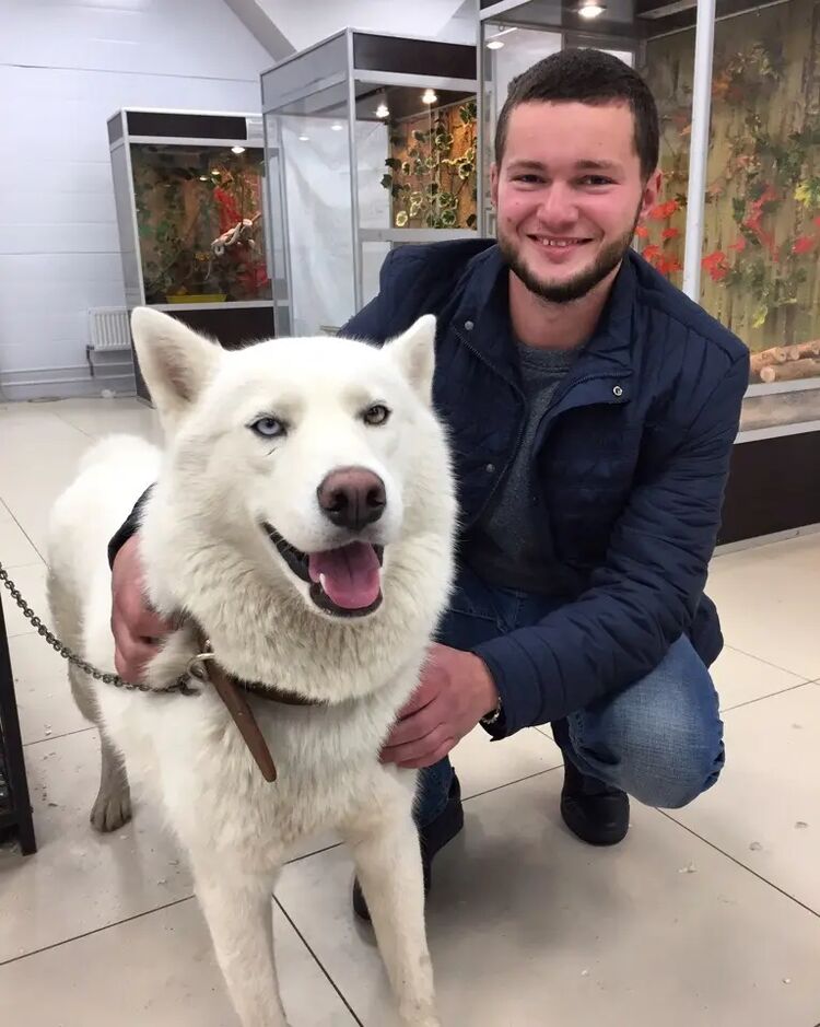  34116086  , 32 ,    -