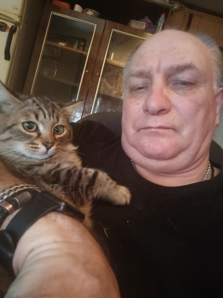 ���� 55598886 ������� �������, 56 ���, ���� ���������� � ��������