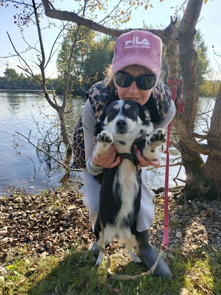 ���� 56248436 ������� �������, 42 ����, ���� ���������� � ������������