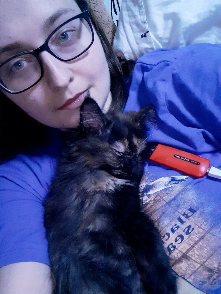 ���� 28313476 ������� ��������, 32 ����, ���� ���������� � �������������