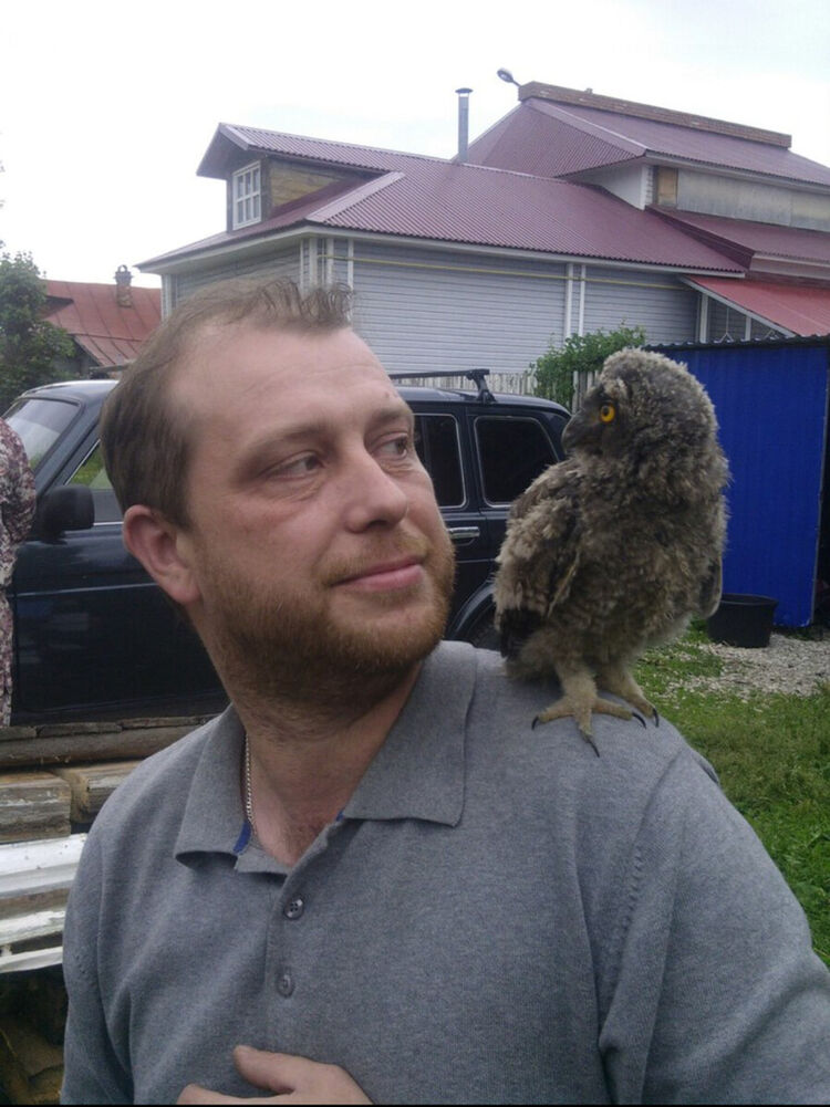 ���������� �������, ���� ������� �������, 44 ����, ������������ ��� ������, ����� � ���������, c�������� ���������